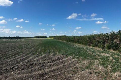 Commercial property in Homestead, Florida № 2012347 - photo 2