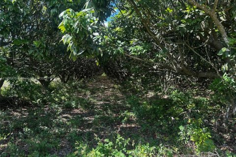 Commercial property in Homestead, Florida № 2012347 - photo 4