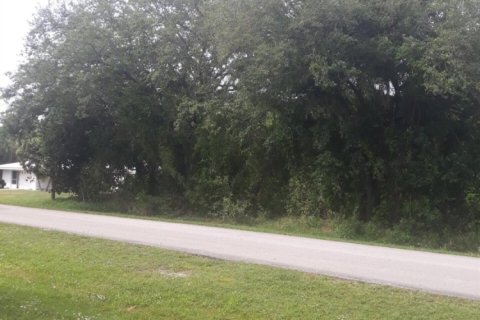 Land in Fort Pierce, Florida № 1136289 - photo 1