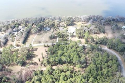 Land in Hawthorne, Florida № 2161826 - photo 3