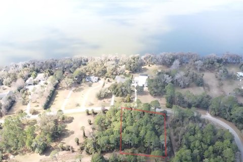 Land in Hawthorne, Florida № 2161826