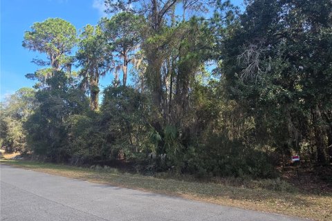 Land in Hawthorne, Florida № 2161826 - photo 2