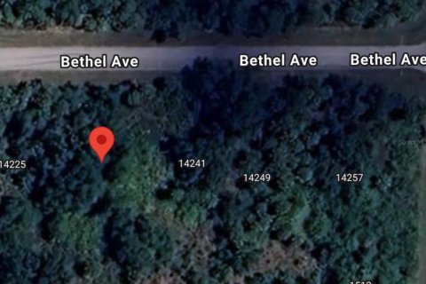 Land in Port Charlotte, Florida № 2163745 - photo 3