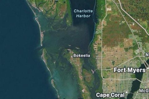 Land in Port Charlotte, Florida № 2163745 - photo 8