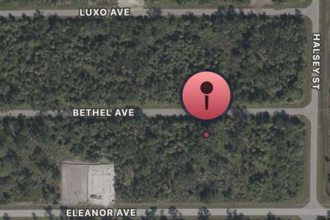 Land in Port Charlotte, Florida № 2163745 - photo 2