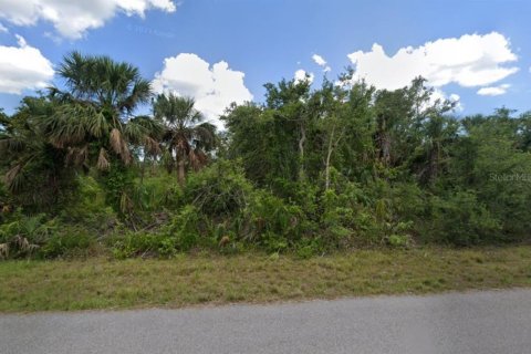 Land in Port Charlotte, Florida № 2163745