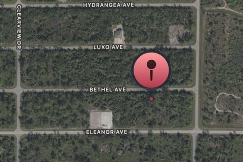 Land in Port Charlotte, Florida № 2163745 - photo 7