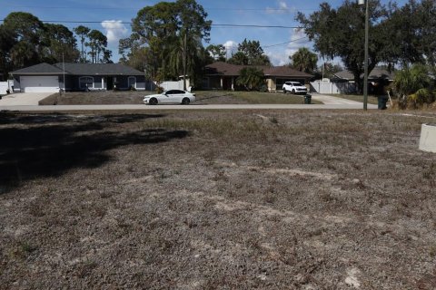 Land in North Port, Florida № 2161954 - photo 6