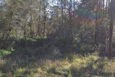 Land in Palatka, Florida № 2160322