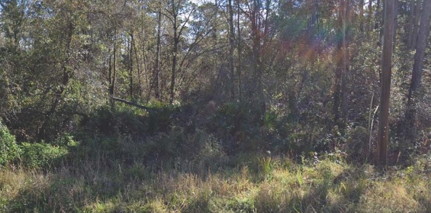 Land in Palatka, Florida № 2160322