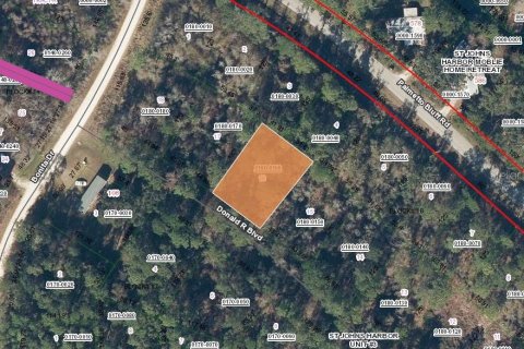Land in Palatka, Florida № 2160322 - photo 2