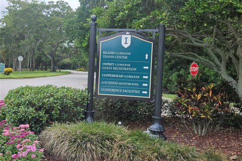 Copropriété à louer à Palm Harbor, Floride: 2 chambres, 112.41 m2 № 2259087 - photo 18