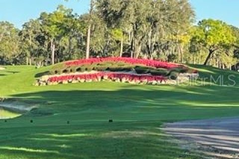 Copropriété à louer à Palm Harbor, Floride: 2 chambres, 112.41 m2 № 2259087 - photo 30