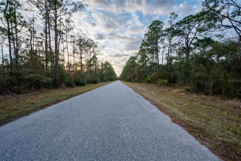 Land in North Port, Florida № 1536429 - photo 9