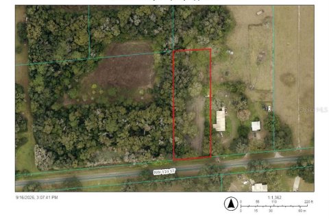 Land in Reddick, Florida № 2369248