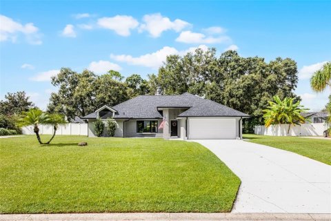 House in Eustis, Florida 3 bedrooms, 217.3 sq.m. № 1904094 - photo 3
