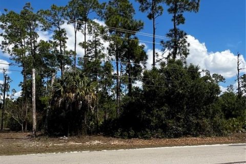 Land in Lehigh Acres, Florida № 2160464