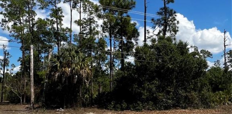 Land in Lehigh Acres, Florida № 2160464