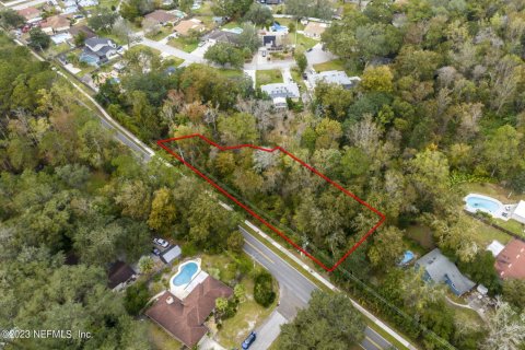 Land in Jacksonville, Florida № 891585 - photo 1