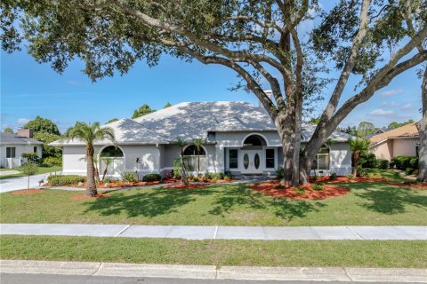 House in Lakeland, Florida 4 bedrooms, 264.03 sq.m. № 1907382 - photo 1