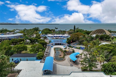 House in Key Biscayne, Florida 3 bedrooms, 129.23 sq.m. № 1864510 - photo 12