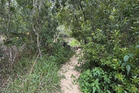 Terreno en venta en Bunnell, Florida № 1910211 - foto 6