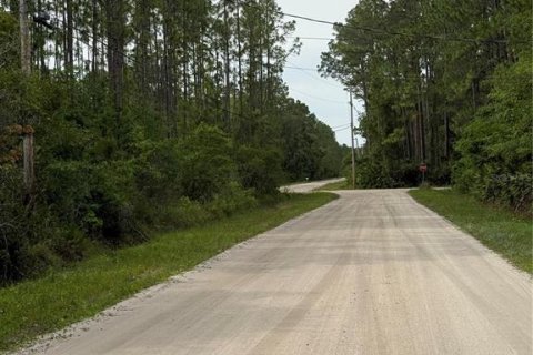 Terreno en venta en Bunnell, Florida № 1910211 - foto 2