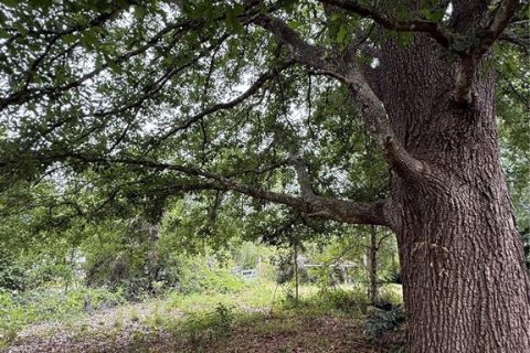 Terreno en venta en Bunnell, Florida № 1910211 - foto 11