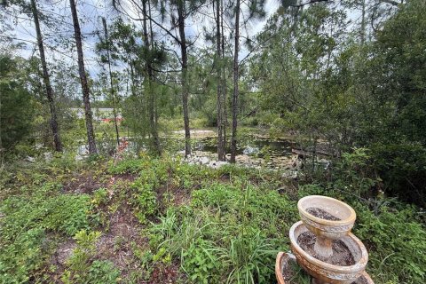 Terreno en venta en Bunnell, Florida № 1910211 - foto 5