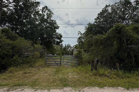 Terreno en venta en Bunnell, Florida № 1910211 - foto 1