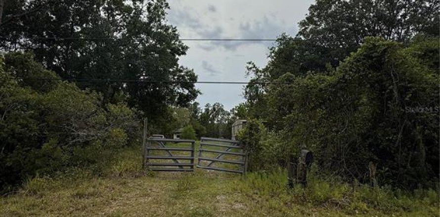 Terrain à Bunnell, Floride № 1910211