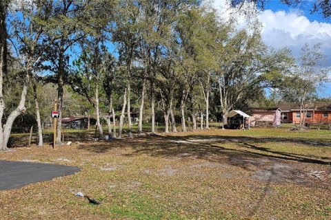 Land in Intercession City, Florida № 2221844 - photo 3