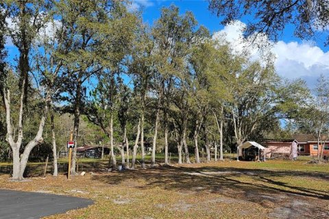 Land in Intercession City, Florida № 2221844 - photo 4