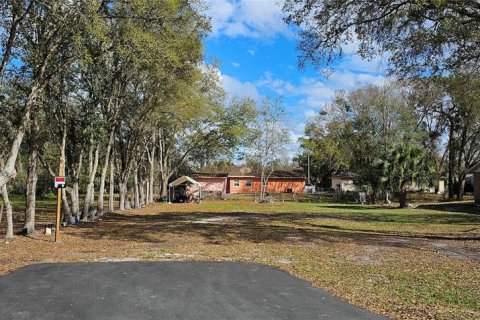 Land in Intercession City, Florida № 2221844