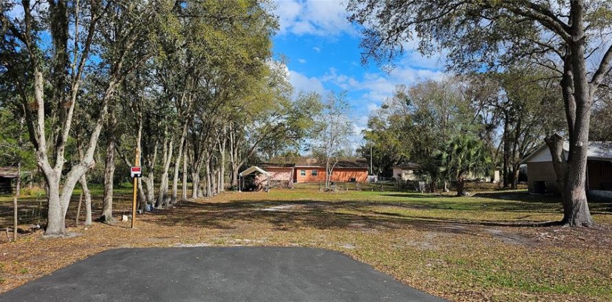 Land in Intercession City, Florida № 2221844