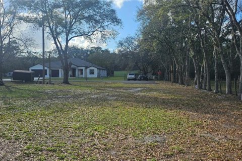 Land in Intercession City, Florida № 2221844 - photo 9