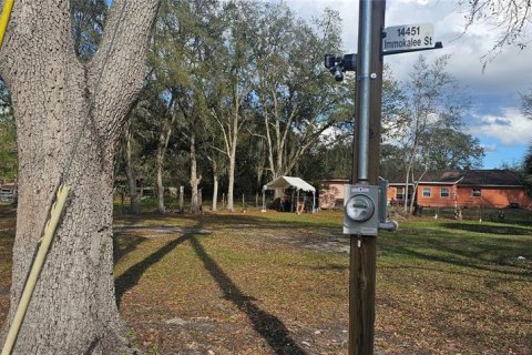 Land in Intercession City, Florida № 2221844 - photo 15