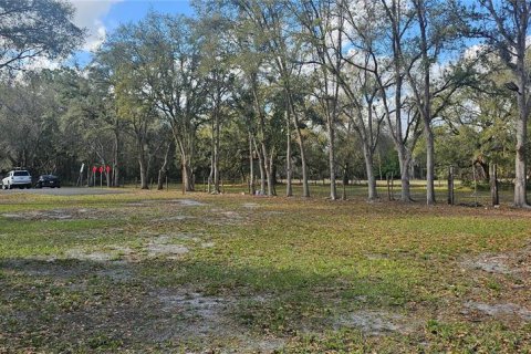 Land in Intercession City, Florida № 2221844 - photo 10