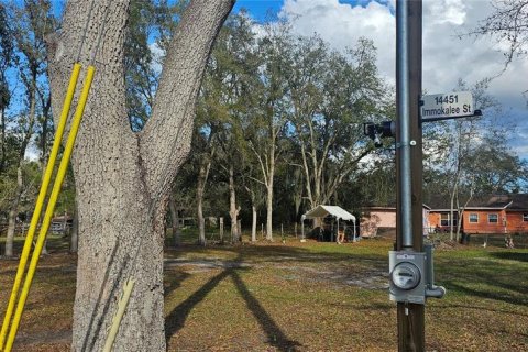 Land in Intercession City, Florida № 2221844 - photo 16