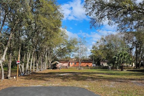 Land in Intercession City, Florida № 2221844 - photo 2