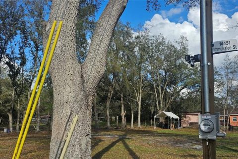 Land in Intercession City, Florida № 2221844 - photo 17