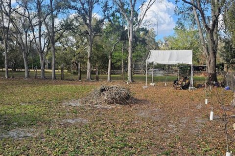 Land in Intercession City, Florida № 2221844 - photo 12