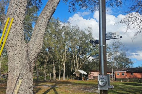 Land in Intercession City, Florida № 2221844 - photo 14