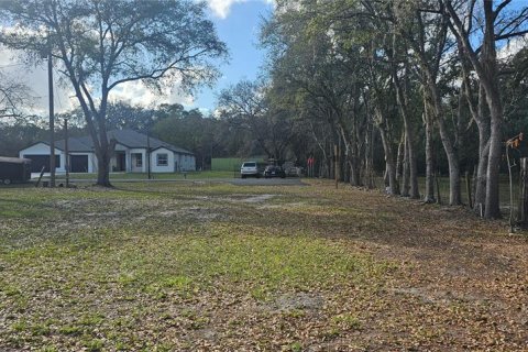 Land in Intercession City, Florida № 2221844 - photo 8