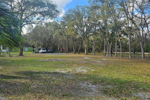 Land in Intercession City, Florida № 2221844 - photo 11