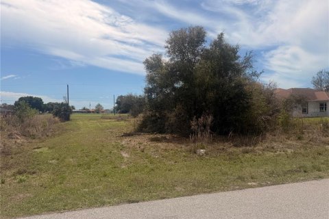 Terrain à vendre à Punta Gorda, Floride № 2204567 - photo 4