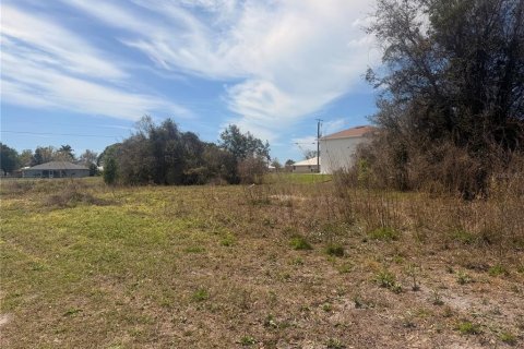 Terrain à vendre à Punta Gorda, Floride № 2204567 - photo 6