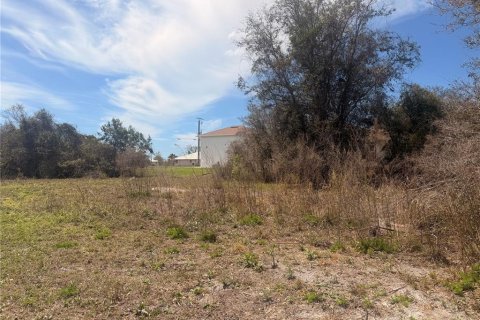 Terrain à vendre à Punta Gorda, Floride № 2204567 - photo 5