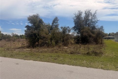 Terrain à vendre à Punta Gorda, Floride № 2204567 - photo 2