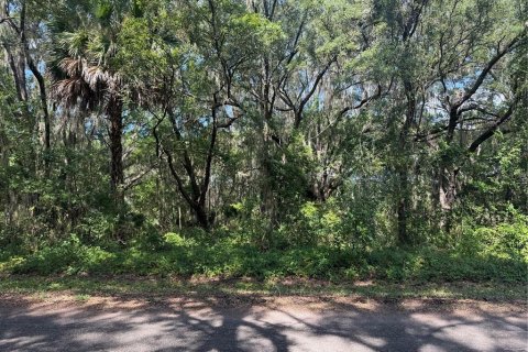 Land in Ocklawaha, Florida № 2203629 - photo 8